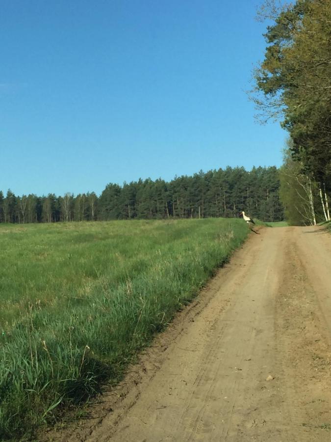 Willa Domek Leśne Zacisze Gietrzwałd Zewnętrze zdjęcie