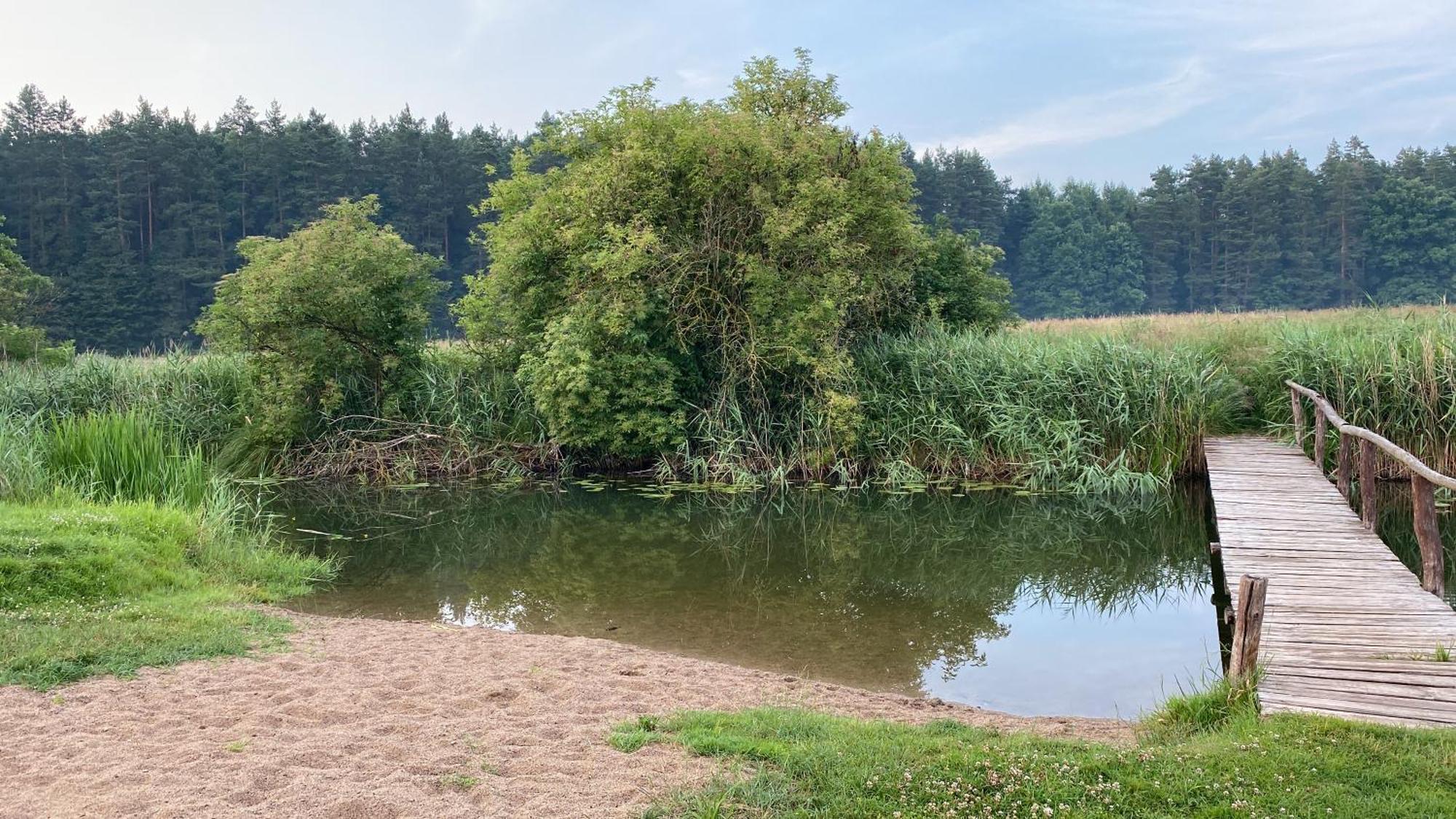 Willa Domek Leśne Zacisze Gietrzwałd Zewnętrze zdjęcie